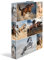 HERMA Ringbücher A4 Pferde Set, 3 Stück, schmal, 2 Ringe, 35 mm breit, Kinder Ringordner mit Tier Motiv, bunter Ordner mit Innendruck für Jungen und Mädchen