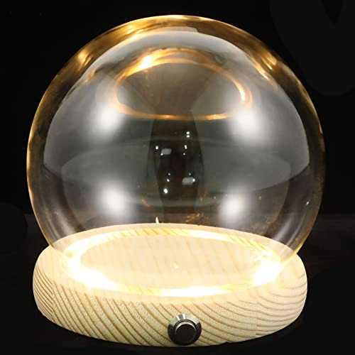 Glas Kuppel Globus mit Licht: Terrarium Dekoration aus transparentem Glas Kuppel Anzeige Globus in Klarglas für Figuren von Blumen Kristallkugeln 12
