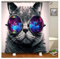KnSam Duschvorhang Anti-Schimmel Wasserdicht Vorhänge an Badewanne Bad Vorhang für Badezimmer Katze mit Brille 100% PEVA inkl. 12 Duschvorhangringen 165 x 180 cm