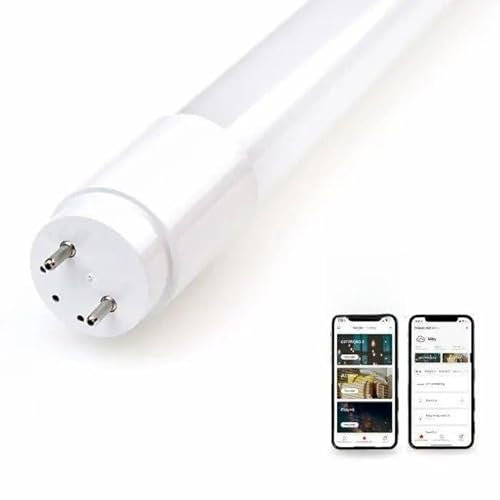Tuya T8 LED-Röhre, 120 cm, 12 W, Bluetooth, mit integriertem Bewegungsmelder – Kaltweiß 6000 K – 8000 K SILAMP