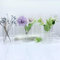 Sahallo kleine Vasen 6 Stück für tischdeko Glaszylinder mini Blumenvase Set Gestreift 10 cm kleine Glasvase Set für Blumen als Tischdekoration Gastgeschenke Hochzeitsdekoration (10 cm Vasen Set)