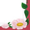 Boston International Papierservietten 6.5 x 6.5-Inches Rose Sauvage