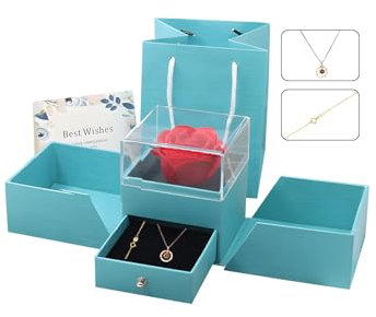 hssopa Collana in vera rosa rossa con collana in argento sterling S925, con rosa eterna con scritta in lingua tedesca Ich liebe Dich , in 100 lingue, allgemein, Collana in 100 lingue