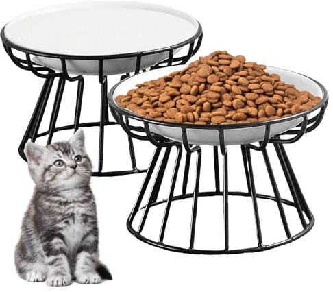 TOATELU 2 stycken kattskålar förhöjd keramik – dubbelskålsats kattmatskål, halkfri kattskål-set, högkvalitativ keramik matskål för katter och små hundar, vit