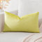 Artscope Samt Kissenbezug Kissenhülle Dekorative Dekokissen Sofakissen Lendenkissen Wurfkissenbezug Sofa Schlafzimmer 30x50cm Zitronengelb
