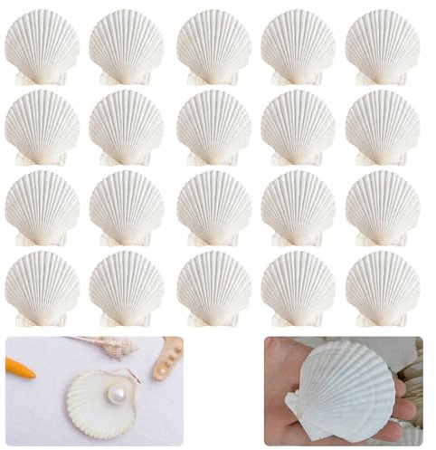 LINGJIA 20 Pièces Coquillage Decoration, Coquilles Saint Jacques Blanches, Décorations en Coquillages,Artisanat, Grands Coquillages Blancs, Coquillages Peints, Carillons à Vent en Coquillages(6-8cm)