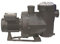 Bomba Piscina Victoria Plus, Bomba de Agua para Filtrado Piscina, Depuradora Piscina Centrífuga Compacta y Autoaspirante (Silent)
