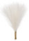 Swiixxer Lot de 5 herbes de la pampa artificielles, duveteuses, à 5 tiges, arrangement floral pour ()