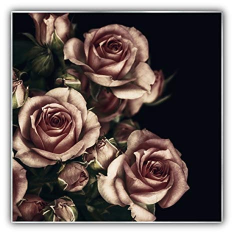 Steinfeld XXL Glasbild mit Rahmen/Glas Deko Bild (Silber/alu) (60 x 60 cm, 007 rosa Rosen)