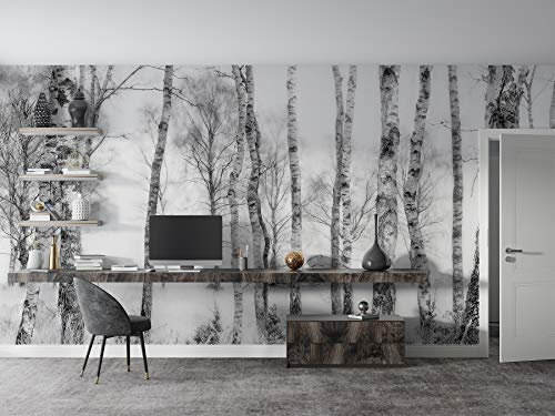 SILK ROAD EU™ Papier Peint Soie Panoramique 3D Bouleau Esquisser, Poster Geant Mural Personnalisé, 400 × 280cm, Thème Forêt et arbres, pour Salon Chambre Chambre restaurant Décoration Murale