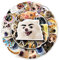 Meme Dog Aufkleber für Laptop (50 PCS),Geschenk für Kinder Jugendliche Erwachsene Jungen,Hunde Stickers Wasserdicht Vinyl Aufkleber für Scrapbook,Skateboard,Auto,Gepäck