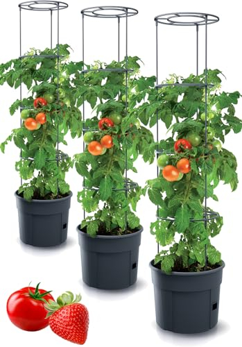 Tymar Tomatentopf, Tomatenkübel, Tomatenpflanze, Tomaten Balkon, mit Rankhilfe Rangitter, mit wasserspeicher (3 Stück, ø 35 cm)
