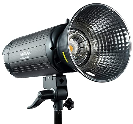 Walimex pro Campaigner 400 HS Studioblitz mit integriertem 2,4 GHz Empfänger, Blitzgerät 400 Ws mit Reflektor, Fotoblitz mit schneller Abbrennzeit, LED-Einstelllicht und Bedienpanel