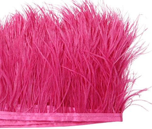 PANAX 2m Straußenfedern Streifen ca. 8-10cm Federnlänge RSRD76