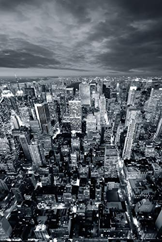 Agashi Jigsaw Puzzles, Adult Puzzle Black and White City Indoor Jigsaw Puzzle Game/Black and White City/4000Pcs
