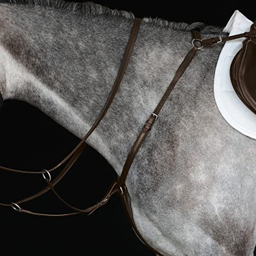 Collegiate Hunter Breast Plate IV, Brown, Cob