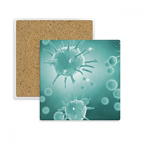 Creature Zelle Bild Mikroskop Muster Quadratisch Untersetzer Cup Becher Halter saugfähig Stein für Getränke 2 Geschenk