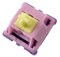 Thock King C³EQUALZ X TKC Banana Split 62g Linear Mechanical Switches for Mechanical Keyboards (90, Purple)