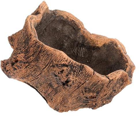 POPETPOP Zement Sukkulenten Töpfe Kreative Blumentöpfe Bonsai Pflanzer Topf für Hause