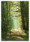 Weg ins Licht Poster von Moqui, Daniela Beyer 70 x 90 cm Grün Wandbilder Wanddeko