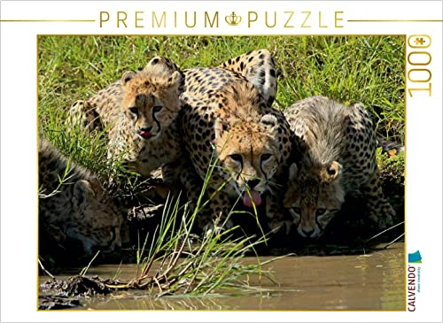 CALVENDO Puzzle Geparden – am Wasserloch | 1000 Teile Lege-Größe 64 x 48 cm Foto-Puzzle für glückliche Stunden