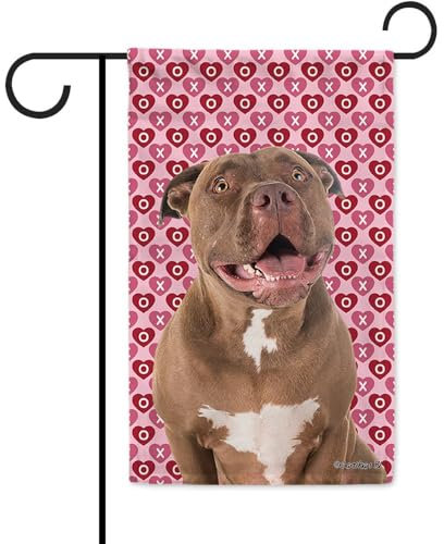 Hugs and Kisses Dog Pitbull Red Nose Valentine's Day Garden Flag Love Hearts XOXO Decor Home Banner for Outside Both Sides 12.5x18 Inch