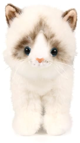 Ice King Bear Little Ragdoll Cat Stuffed Animal Kitten Plush Toy (Standing)