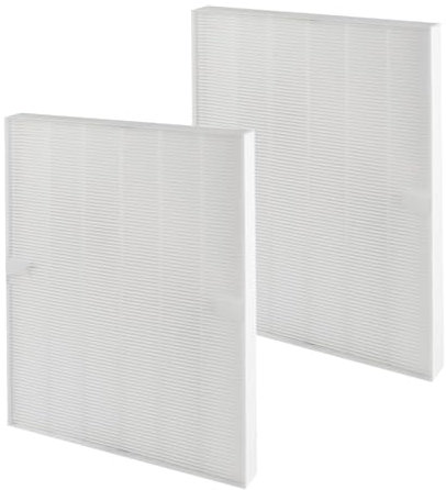 2 confezioni di filtri HEPA per purificatore d'aria C535 per Winix 115115 PlasmaWave C535 5300 5300-2 5500 5500-2 6300 6300-2 P300 AM90 9000 5000 5000B C9 09 98. 00 Purificatore d'aria 290 300 DX95