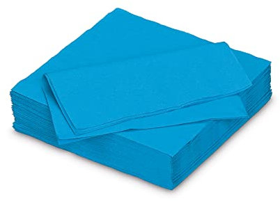 Servietten aus Papier 33x33cm 50 Stück - Farbauswahl in 25x25/33x33/40x40cm - Einweg Tischservietten 2-lagig - Einfarbige Papierservietten für Hochzeit, Geburtstag und Alltag -Türkis