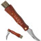 Coltello a Funghi con Spazzola, Coltello Micologica Manico in Legno, Coltellino a Serramanico da Funghi, Coltello da Giardino da Tasca, Coltello da Innesto, Coltello da Giardinaggio da Esterno