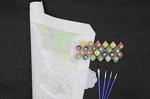 Querfun Kit de peinture par numéro, peinture personnalisée, image roulée et sans cadre, 20,3 x 30,5 cm.