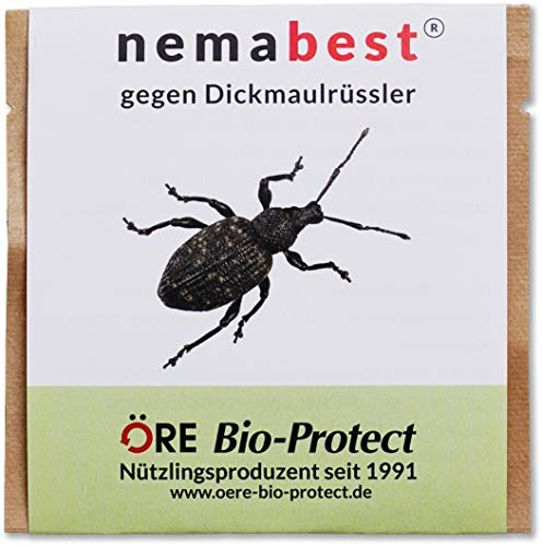 nemabest® HB Nematoden zur Bekämpfung des Dickmaulrüsslers - 250 Mio. für 500m²