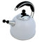 AGA Stainless Steel Whistling Kettle Pearl Ashes