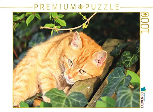 CALVENDO Puzzle Kuschelzeit | 1000 Teile Lege-Größe 64 x 48 cm Foto-Puzzle für glückliche Stunden