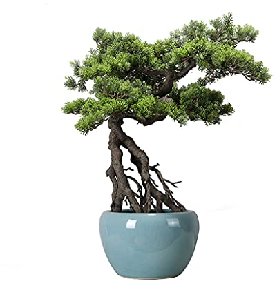 UNNS Kleiner Bonsai Nachahmung Thuja Pine Tree Bonsai Gefälschte Grünpflanzen Zen Ornamente eignen Sich for Hausgeschäfte, Büros, Couchtischdekoration und Heilung Künstliche Topfpflanzen