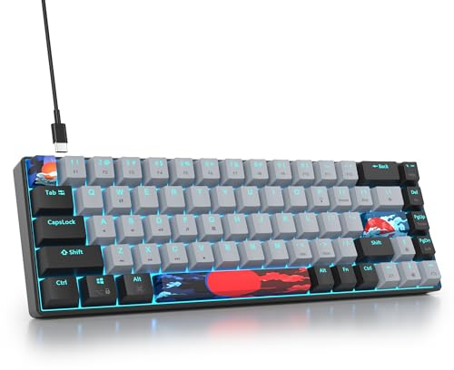 Mosptnspg Protable 60% Percent Gaming Keyboard Mechanical, Mini Compact RGB Backlit 68 Keys Wired Office Keyboard with Red Switch for Mac/Win (Dolch/red Switch 68)