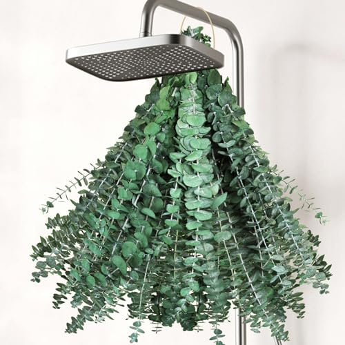 32 Stück getrocknetes Eukalyptus-Paket für die Dusche – 43,2 cm große, konservierte Eukalyptusstiele, Duschpflanze, frische echte Eukalyptusblätter zum Aufhängen der Dusche, künstliche