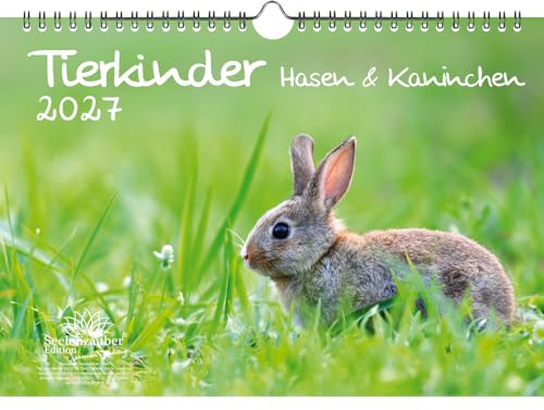 Tierkinder Hasen und Kaninchen DIN A4 Kalender für 2027 - Seelenzauber