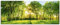 ARTland Wanddeko Glasbilder Wandbild Glas Bild einteilig 125x50 cm Querformat Natur Wald Sonne Landschaft Frühling Wiese Bäume Grün T2OP