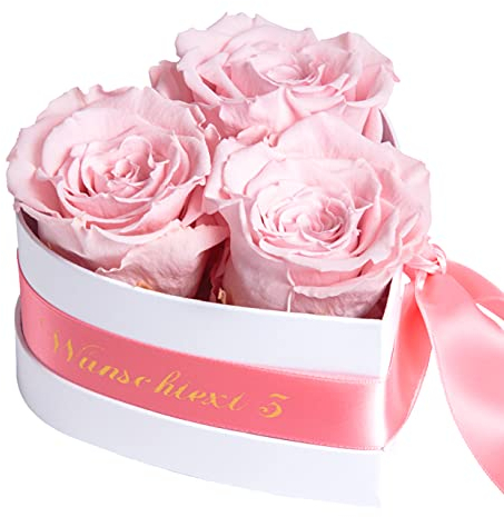 ROSEMARIE SCHULZ Heidelberg Infinity Rosenbox Herz personalisiert - 3 ewige Rosen rosa in Box 10x12cm haltbar 3 Jahre - persönliche Damen Geschenke (Wunschtext, Rosa)
