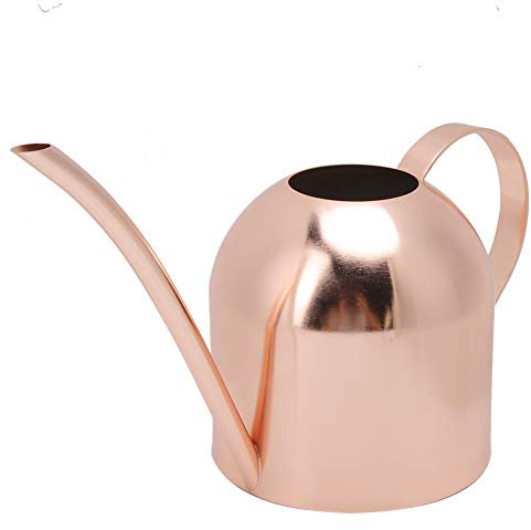 Julykai Roségold Gießkanne, 1000ml Edelstahl Gießkanne Streutopf Langer Mund Garten Blumen Pflanzen Wasserbehälter Streutopf