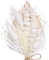 The Baked Studio - Dried Flowers For Cakes Decoration And Crafts With A Gold & White Ombre Palm Spear (Gold & White)