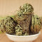 Portal Cool Jericho Resurrezione Rose impianto Rose of Jericho Dinosaur fabbrica: Seeds Only