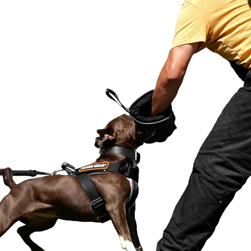 DINGO GEAR Soft Nylcot Mini Bite Sleeve with Handle and Grip Inside the Bite Guard for IGP, Dog Sports, Puppy, Young Dog Training, Black, Bite Level 1 - Beginner (S01961)