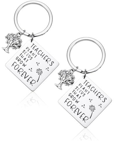 LPAMABA 2 PCS Anneau Clé 30mm Acier Inoxydable, Porte-Clés Personnalisé Enseignants, Porte Clé Acier Inoxydable, Anneaux Porte Clé 30mm, Porte-Clé Rond Acier pour Journée Enseignant, Thanksgiving