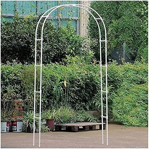 Arche de jardin en métal pour plantes grimpantes - Arche tubulaire solide pour jardin et jardin