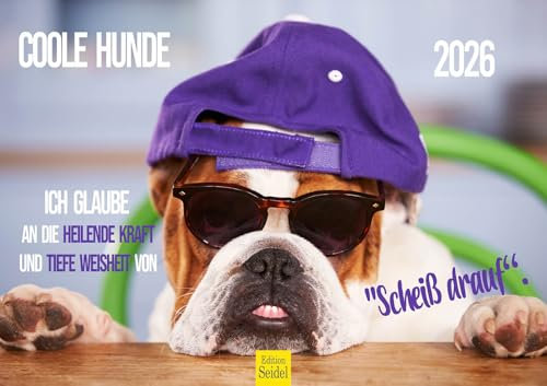 Edition Seidel Premium Kalender Coole Hunde 2026 Format DIN A3 Wandkalender Hundekalender Hund Welpe Hunderasse lustige Sprüche