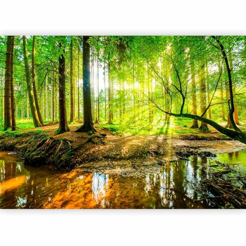 murando - Photo Wallpaper 400x280 cm / 158x110 - Non-Woven Premium Art Print Fleece Wall Mural Decoration Poster Picture Design Modern - Forest Nature Tree Green Water c-B-0241-a-a