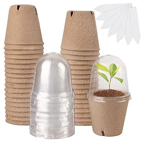 Durratou 36 Set Pflanztöpfe Anzuchttöpfe Samen Töpfe Biologisch Abbaubare Torf Töpfe Mit Feuchtigkeit Kuppel, Sämlinge Pflanztöpfe