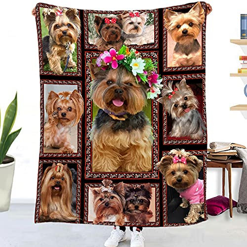 Wnyun Fleecedecke Sofadecke Kuscheldecke 3D Wohndecken 150x200cm Yorkshire-Terrier-Mädchentier Flanelldecke Couchdecke Warm Weiche Flauschige TV Decke Bettüberwurf Microfaser Tagesdecke